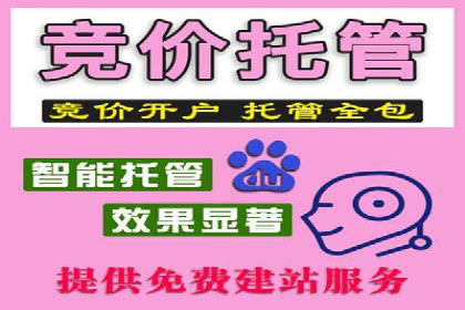 案例分析：百度竞价托管助力行业龙头